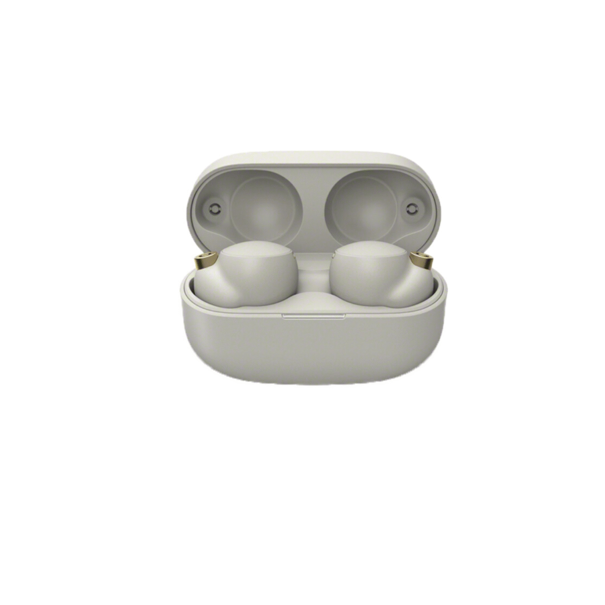 WF-1000XM4 True Wireless In-Ear Headphones (With Microphone) - Image 12