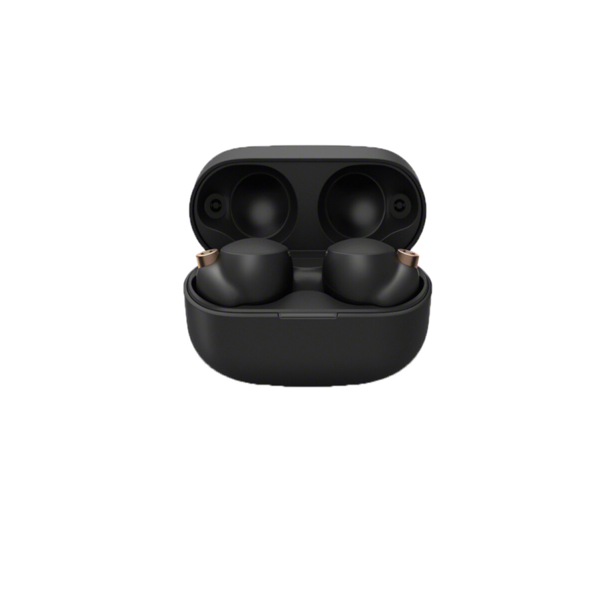 WF-1000XM4 True Wireless In-Ear Headphones (With Microphone) - Image 2